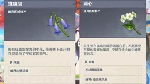 清心在哪里采集(清心采集路线)插图2
