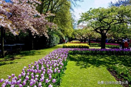 荷兰住宅公园排名前十(荷兰小镇空中别墅)插图74