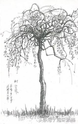 最强速写大神排名前十(国内速写十大名师)插图13