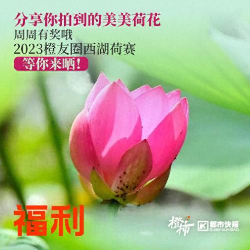 临安漂流排名前十(临安现在有几处漂流)插图39