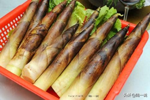 厦门辣味川菜排名前十(厦门正宗川菜十大排名)插图18