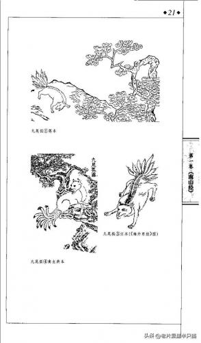 英雄联盟九尾狐(红蝶的隐藏皮肤九尾狐)插图11