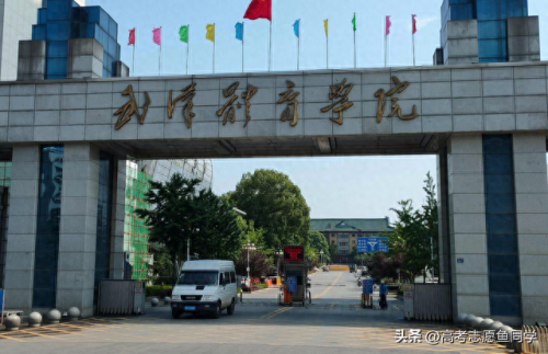 田径运动员专业排名前十(田径之王十大排名)插图