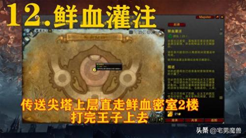影之哀伤任务流程(影之哀伤任务流程单人能做吗)插图12