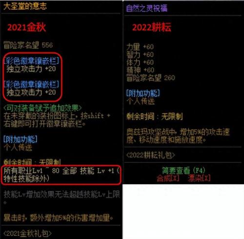 dnf装备镶嵌(dnf皮肤怎么镶嵌徽章)插图10