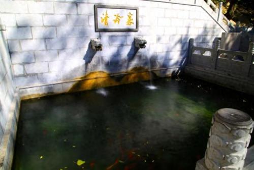 济南泉水排名前十(济南佛峪的泉水)插图10