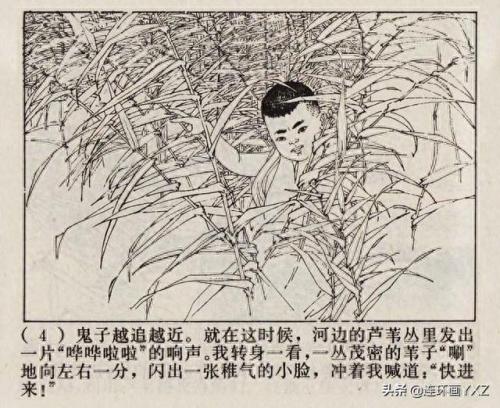 芦荡小英雄(电影芦荡小英雄)插图6