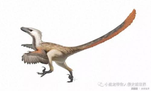 wow化石迅猛龙(魔兽世界白色的迅猛龙)插图3
