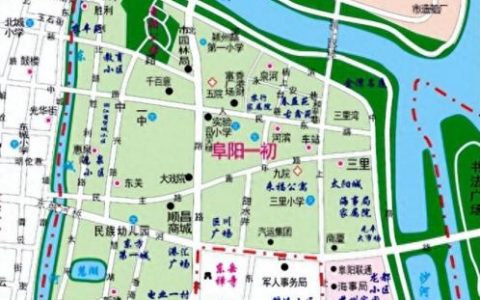 阜阳小升初排名前十(阜阳培训机构排名)