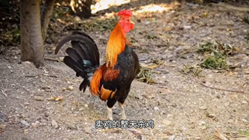 微不足道的事情(微不足道的意思)插图