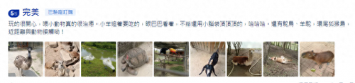 海口旅游排名前十(海口游览景点排名)插图23