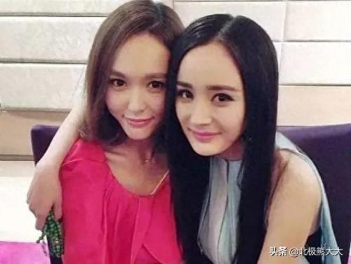杨野花(农村各种野草)插图50