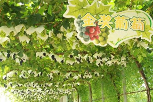 长安小分队(长安小分队成员)插图2
