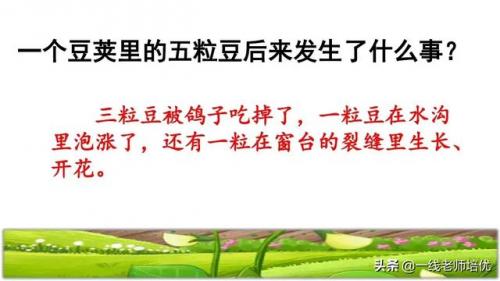 豌怎么组词-(豌可以怎么组词语)插图12