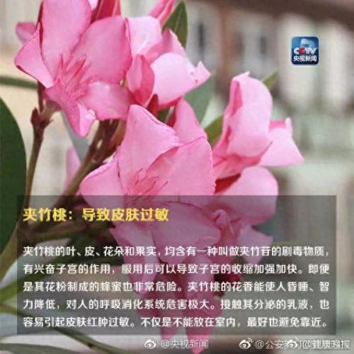 养合元是什么(养合元是什么东西呀)插图11