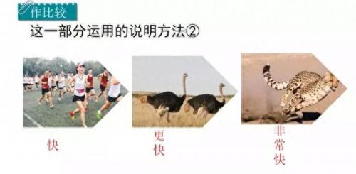奔的多音字组词(奔多音字怎么区分)插图32
