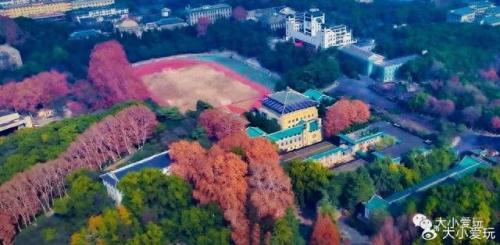 最有味道的大学排名前十(心理学排名前十的大学)插图