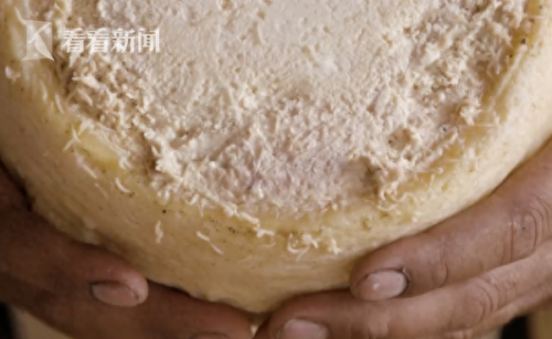 意大利蛆虫乳酪(意大利蛆虫乳酪对人体有害吗)插图2