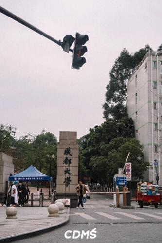 成都十陵镇小吃排名前十(成都十大排名小吃)插图75