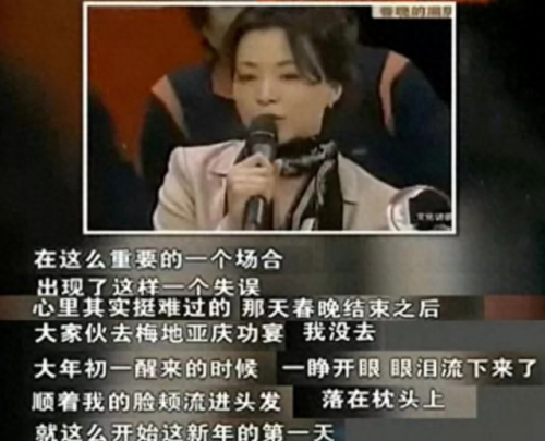 2010年元宵晚会(2010年央视元宵晚会歌曲)插图15