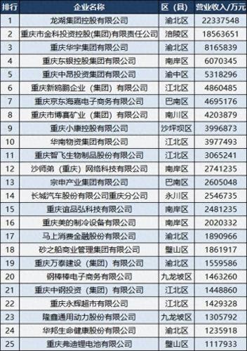 重庆民营工程公司排名前十(重庆公司十大排名)插图2