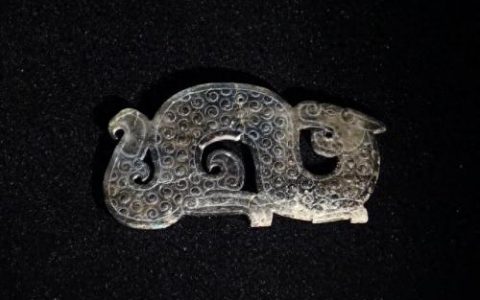 古代玉龙排名前十(厚海玉龙)