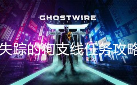 幽灵线东京失踪的狗支线任务攻略(东京幽灵线价格)