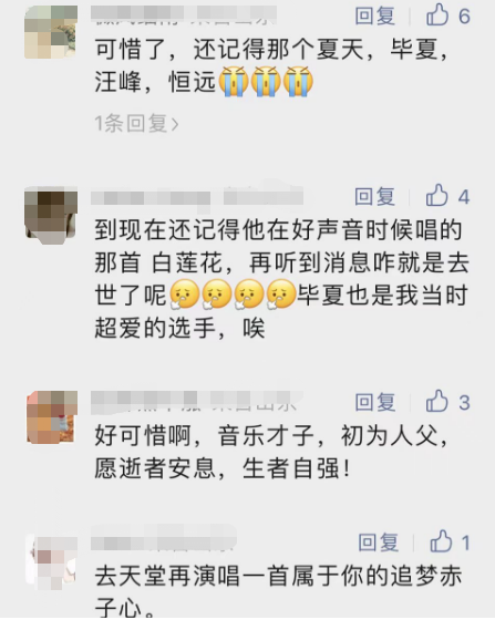 张恒远 蓝莲花(张恒远夜空中最亮的星)插图9