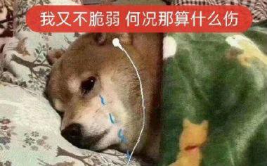 夜来非什么意思(夜来非是什么梗)插图