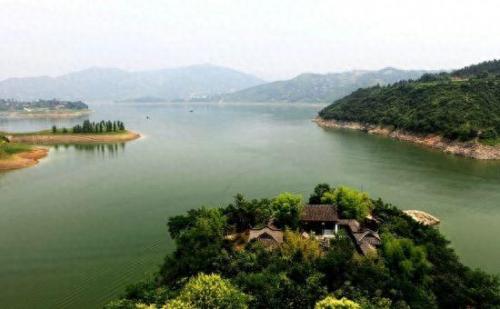 广陵区宠物医院排名前十(广陵宠物医院人气推荐)插图10