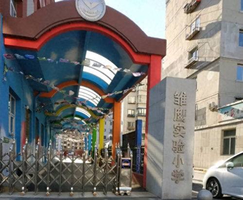 辽宁沈阳市小学排名前十(辽宁小学排名一览表最新)插图1