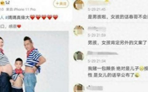 陈小春的老婆(应采儿个人资料)
