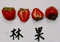 十大草莓排名前十图片(吃草莓的十大好处)插图24