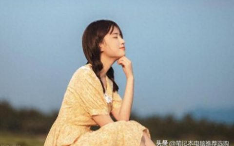 中国手机电池行业排名前十(手机电池寿命查询)