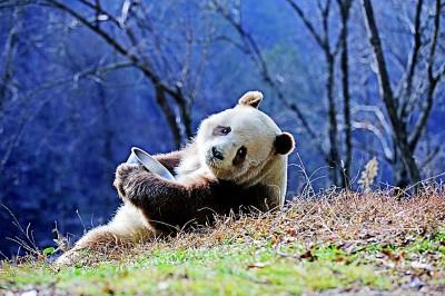 2021年7月7日是什么日子(2021年7月7日是情人节吗)插图2