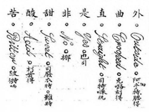 洛克王国烈钻鸟(洛克王国烈钻鸟怎么超进化)插图1
