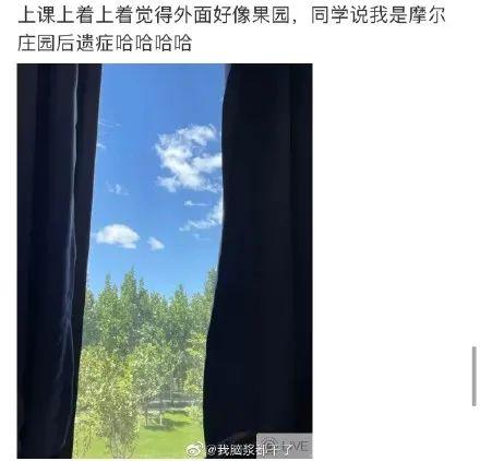 摩尔庄园小镇(摩尔庄园小镇在哪)插图20