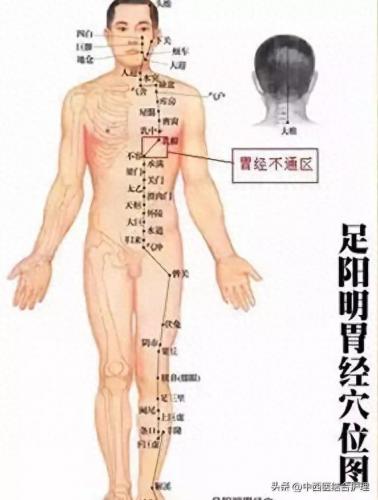 经络养生排名前十(经络养生操30分钟免费看)插图3