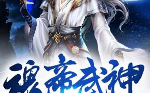 武魂小说排名前十(小说我的武魂是平头哥)