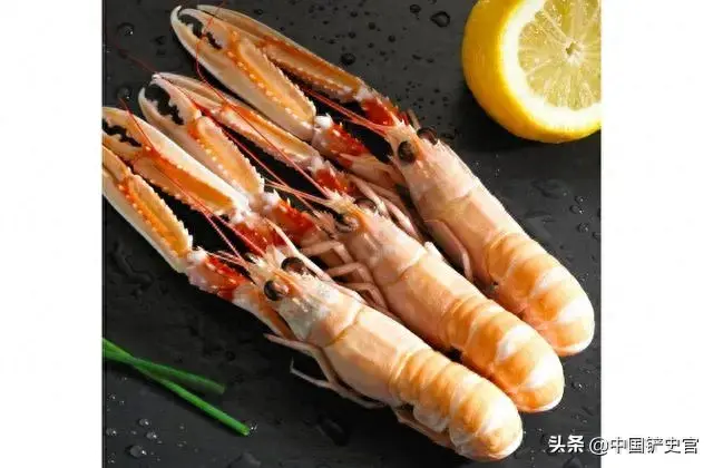 龙虾档次排名前十(龙虾品质排名)插图1