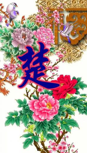 百家姓qq头像(百家姓头像大全真实图)插图98