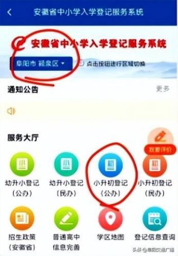 阜阳小升初排名前十(阜阳培训机构排名)插图4