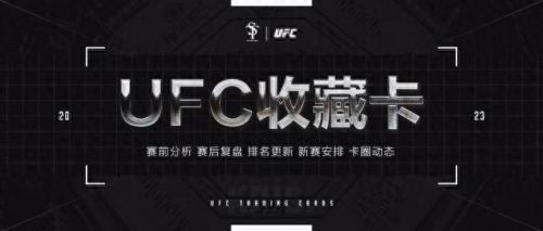 ufc量级排名前十(女子ufc有几个量级)插图15