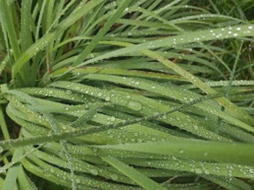 雨后的故事图片(雨中的小故事是什么梗)插图5