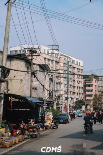 成都十陵镇小吃排名前十(成都十大排名小吃)插图74