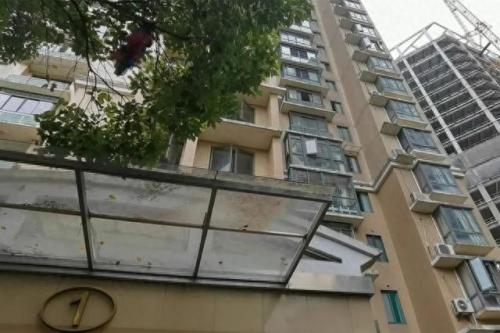 虹口区特种显示屏排名前十(杨浦区品质led显示屏排行榜)插图