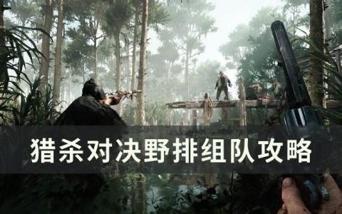 猎杀对决野排组队怎么玩(猎杀对决壁纸手机)