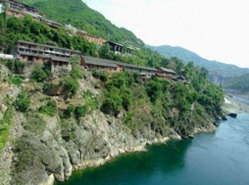广陵区宠物医院排名前十(广陵宠物医院人气推荐)插图11