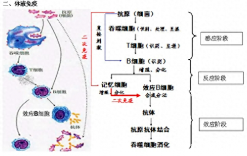 隐形战争(杀出重围隐形战争)插图3