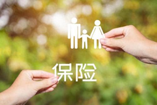 排名前十的保单(最便宜的家庭保单排名)插图2